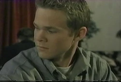 animorfos de shawn ashmore