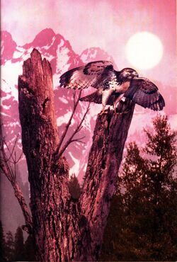 Animorphs encounter book 3 inside cover high res.jpg