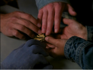 Cassie, Jake, Marco, and Ax acquiring a butterfly