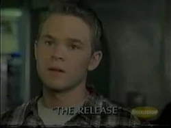 animorfos de shawn ashmore