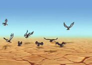 vultures gather