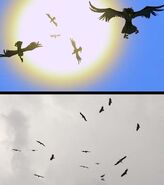 Vultures circling: Their first entrance (top) and second entrance (bottom)