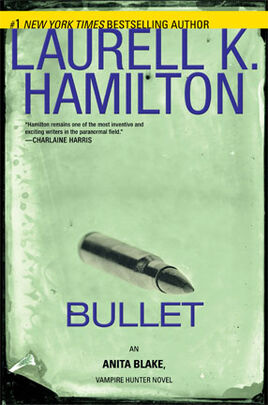 Bullet cover 01