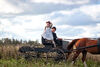 Anne, Matthew und das Pferd Belle