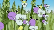 Snapdragons