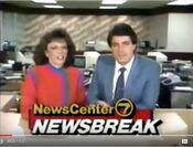 WSVN Newscenter 7 Newsbreak bumper from November 18, 1984