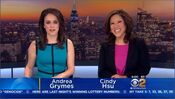 WCBS CBS2 News Saturday Morning 6AM open from June 25, 2016