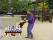 WNBC News 4 New York Live at Five Weeknight bumper from October 18, 1993