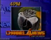KNBC Channel 4 News 4PM Weekday - Exotic Pets - Monday ident for November 18, 1985