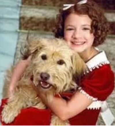 Sandy | Annie Wiki | Fandom Sandy | Annie Wiki | Fandom
