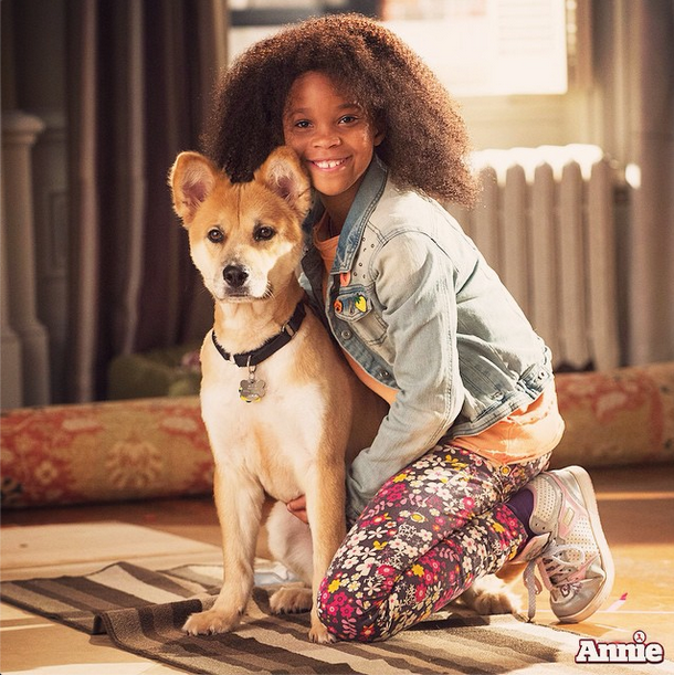 Sandy | Annie Wiki | Fandom Sandy | Annie Wiki | Fandom