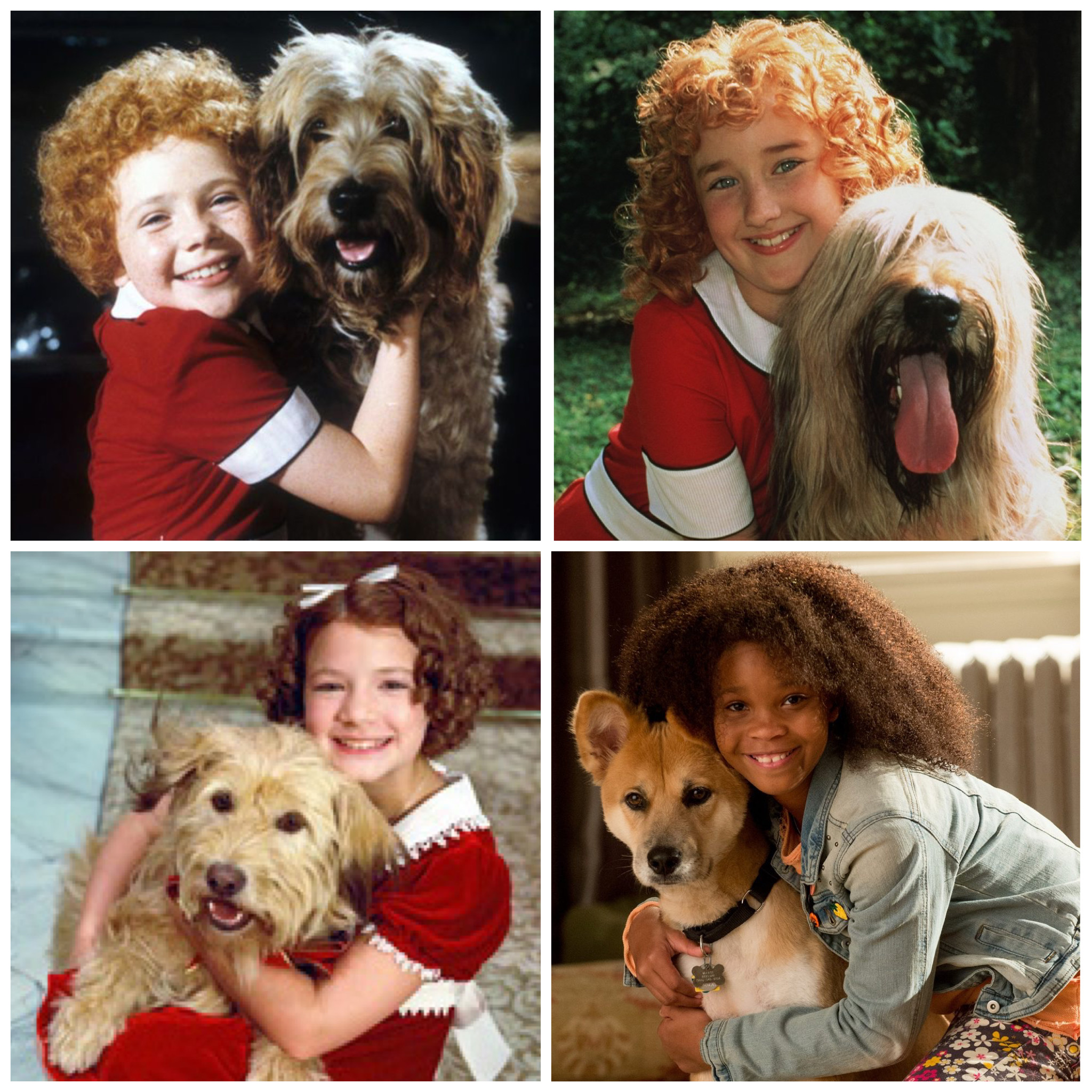 what kind of dog is sandy from annie