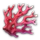 Tiefseekorallen