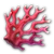 Tiefseekorallen