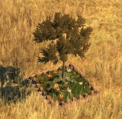 Flowerbed10Screenshot.png (258 KB) Flowerbed - variant 10