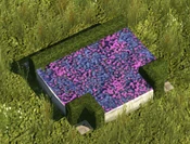Purple Flowerbed - variant 5