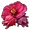 Icon hibiscus farm 0