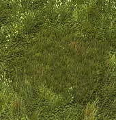 Grass - Variation 4