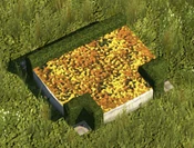 Yellow Flowerbed - variant 5