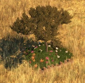 Flowerbed6Screenshot.png (258 KB) Flowerbed - variant 6