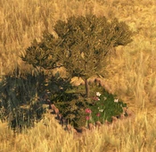 Flowerbed9Screenshot.png (261 KB) Flowerbed - variant 9