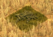HageniaShrubScreenshot.png (114 KB) Hagenia Shrub
