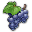 Grapes