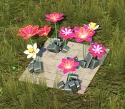 Fairy Flowers - Variation 1