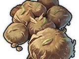 Dung