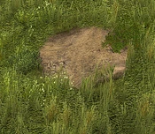 Hiking Trail - Variation 4