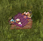 Pizza Picnic