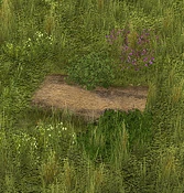 Hiking Trail - Variation 7
