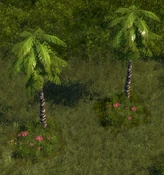 Palm Tree - variant 6