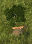 Hiking Trail - Variation 2