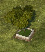 Enclosed Tree - variant 2