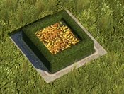 Yellow Flowerbed - variant 7