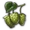 Hops