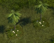 Palm Tree - variant 1