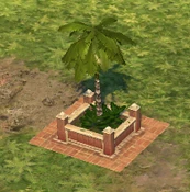 Hacienda Palm Tree
