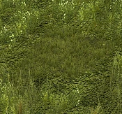 Grass - Variation 6