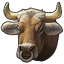 Ox