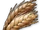 Grain