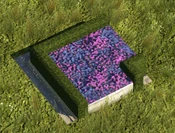 Purple Flowerbed - variant 3
