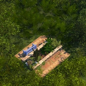 Exotic Flowerbed - Variation 7