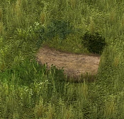 Hiking Trail - Variation 1