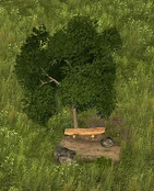 Hiking Trail - Variation 6
