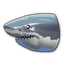 Great White Shark