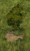 Hiking Trail - Variation 5