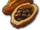 Cocoa