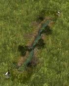 Forest Lake - one tile wide